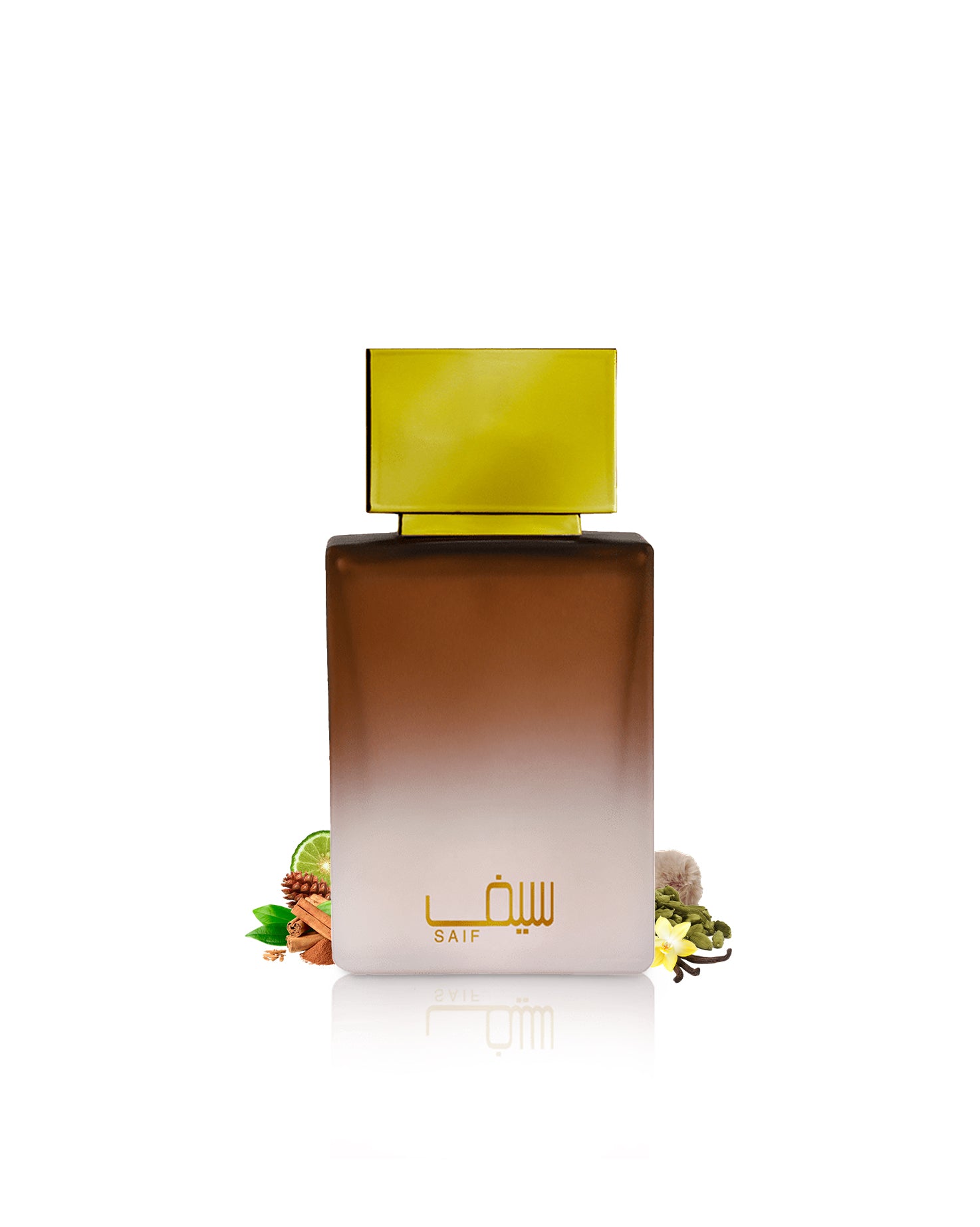 SAIF Edp - Image 2