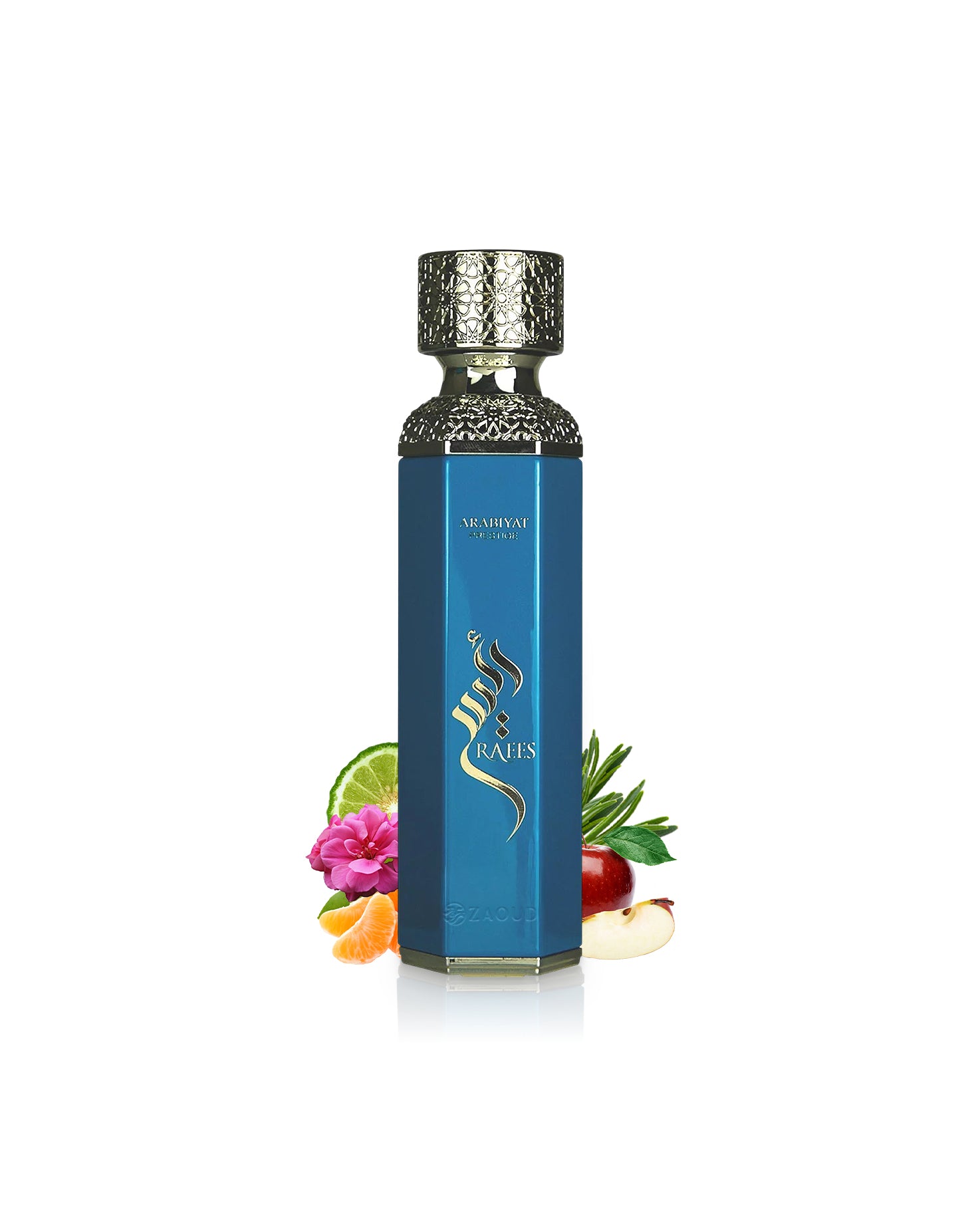 RAEES Edp - Image 2