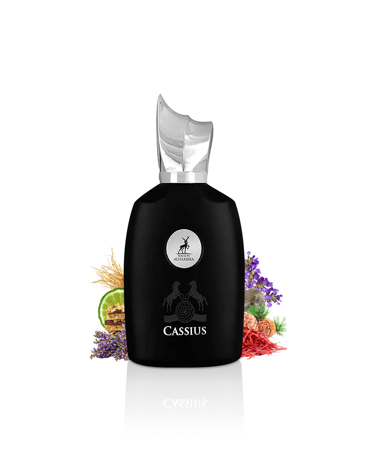 CASSIUS Eau de parfum - Image 2