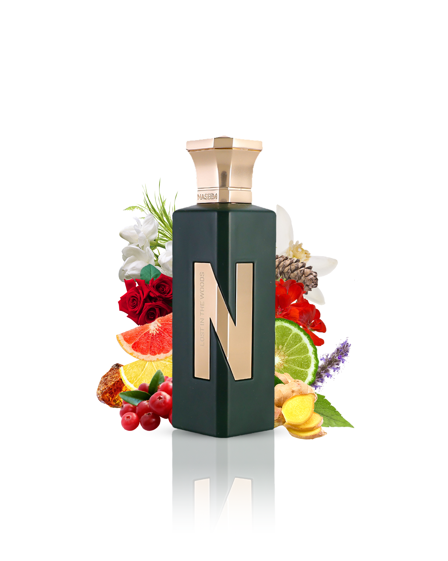 LOST IN THE WOODS Aqua parfum - Image 2