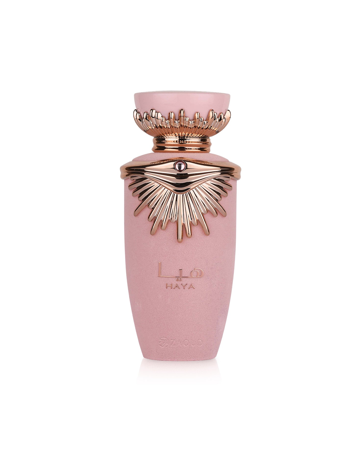 HAYA Edp