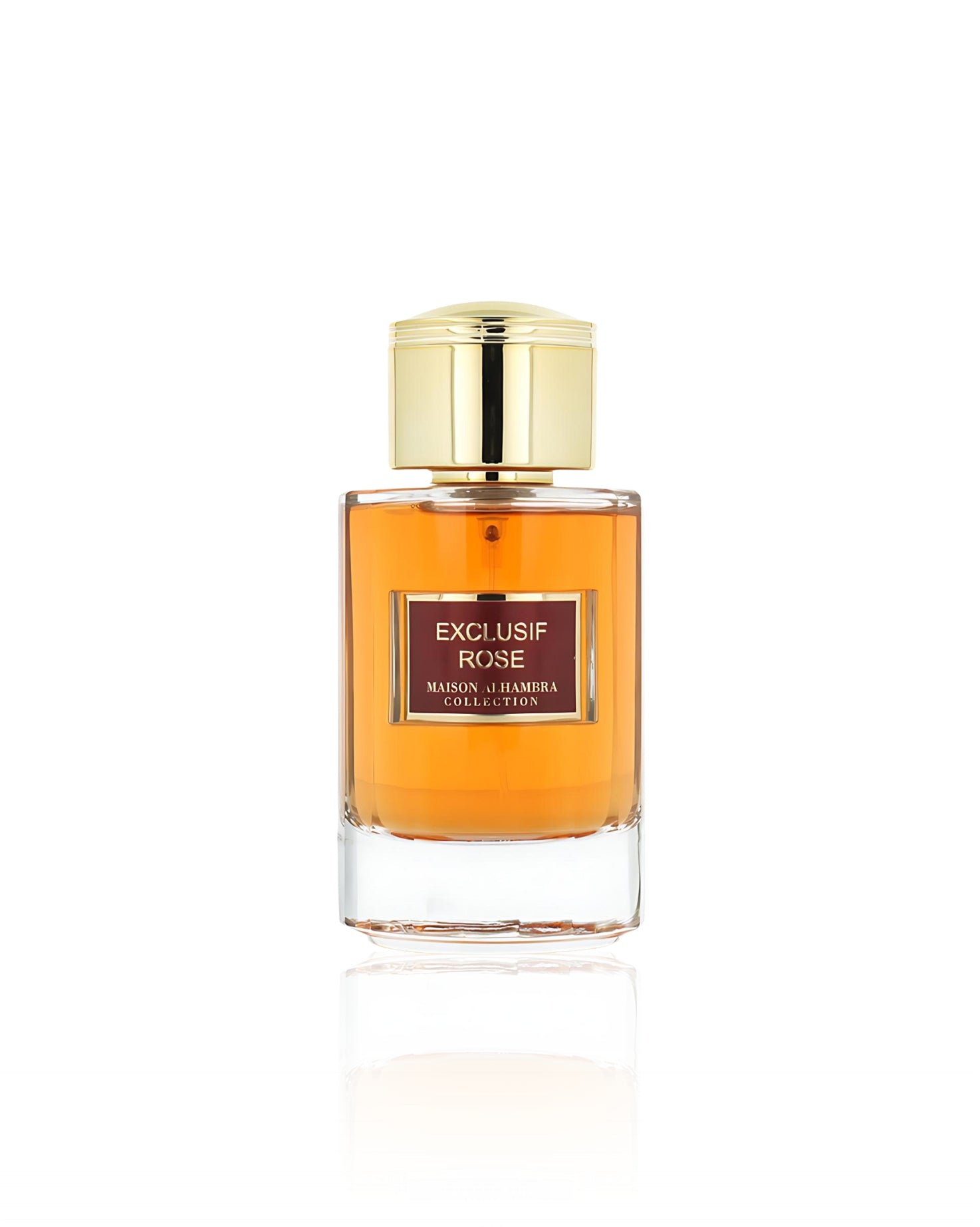EXCLUSIF ROSE EDP