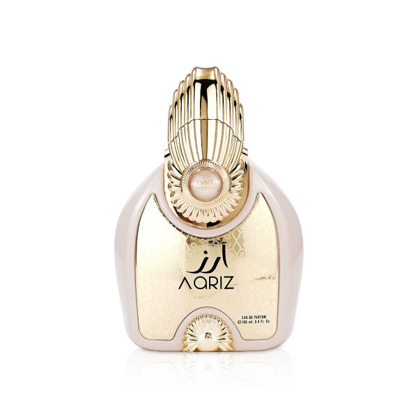 AARIZ Edp
