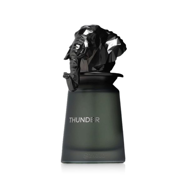 THUNDER Edp