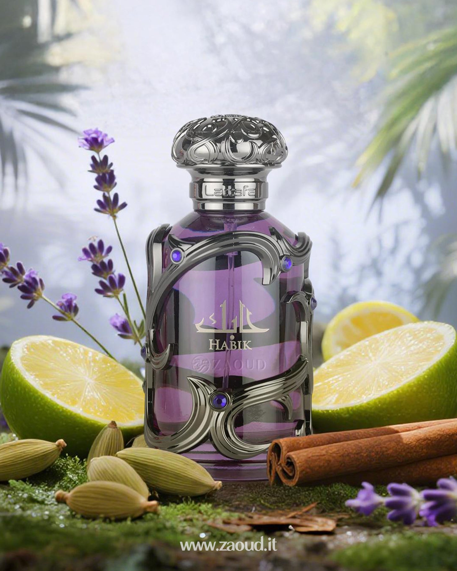 HABIK For Men Edp - Image 4