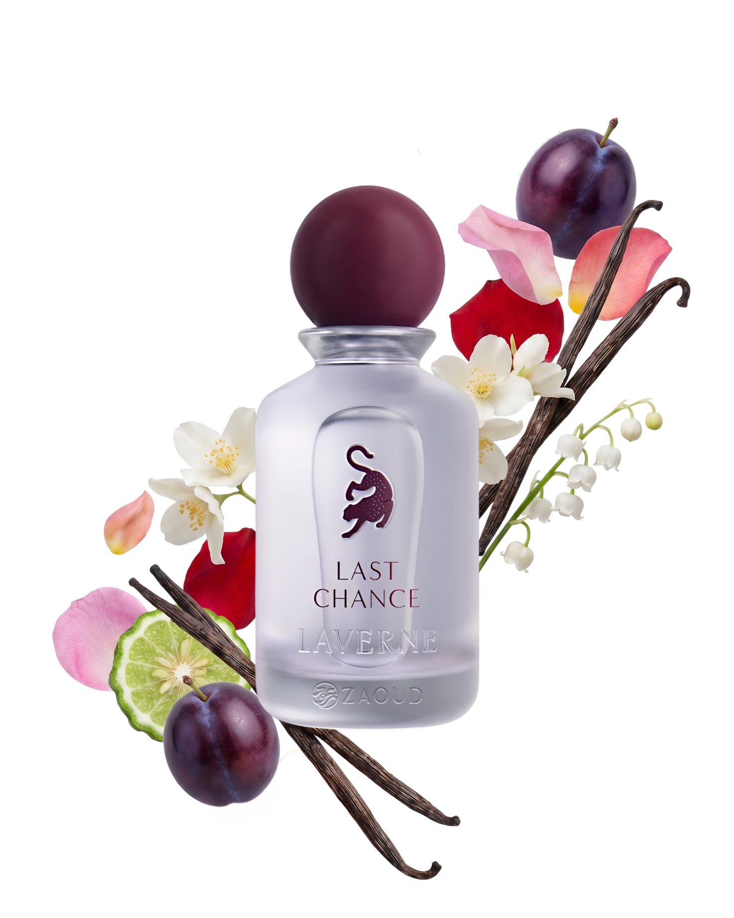 LAST CHANCE Edp - Image 2