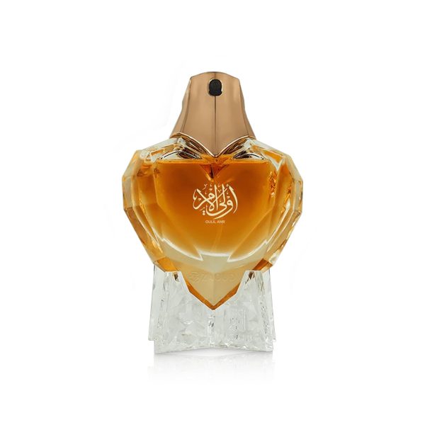OULIL AMR Edp