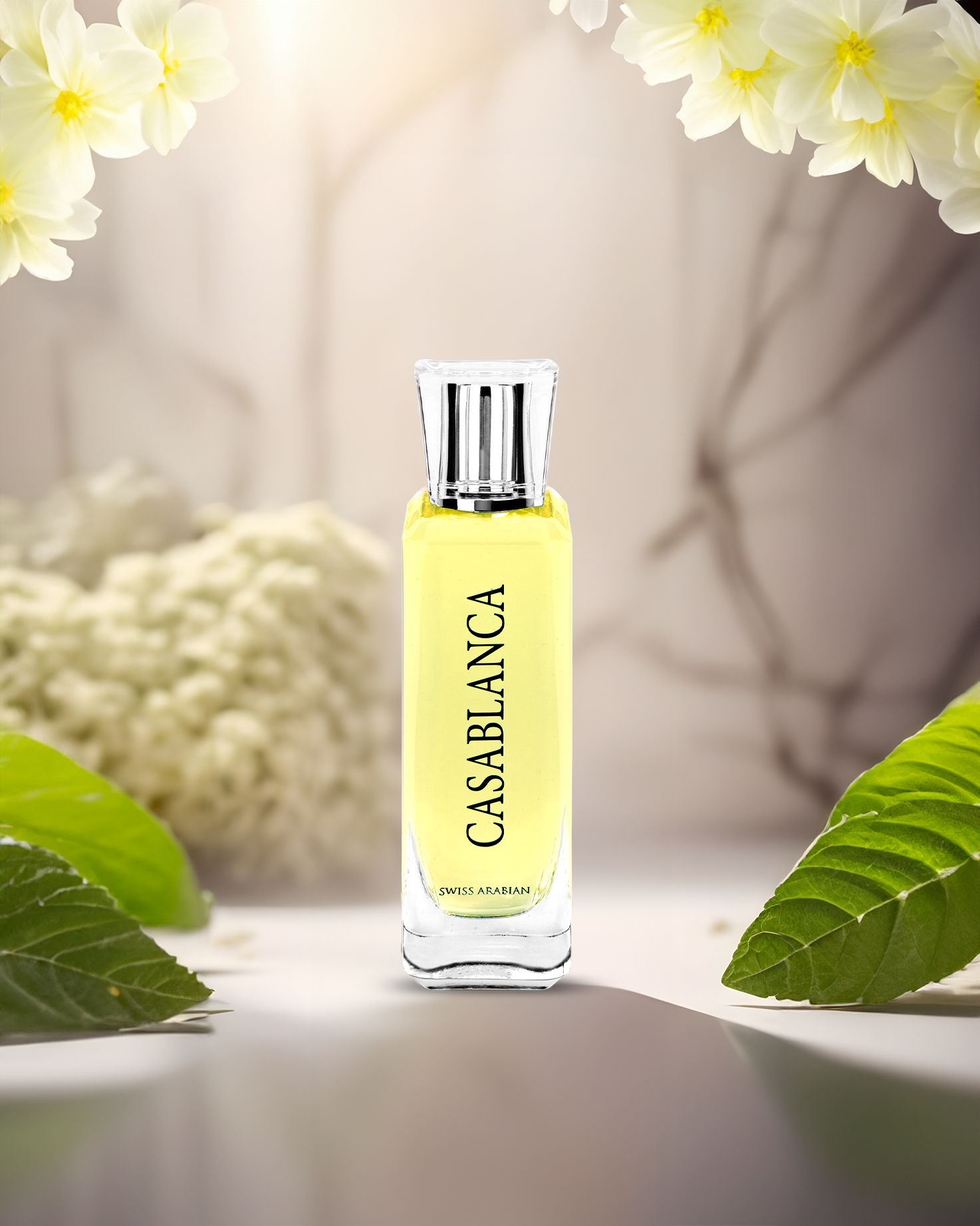 CASABLANCA Edp - Image 4