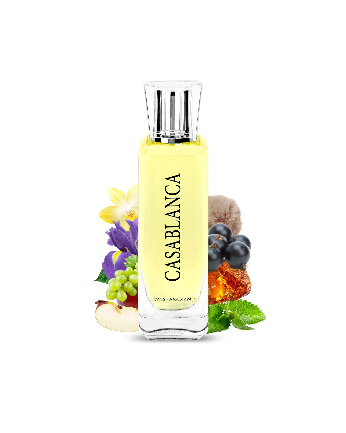 CASABLANCA Edp - Image 2