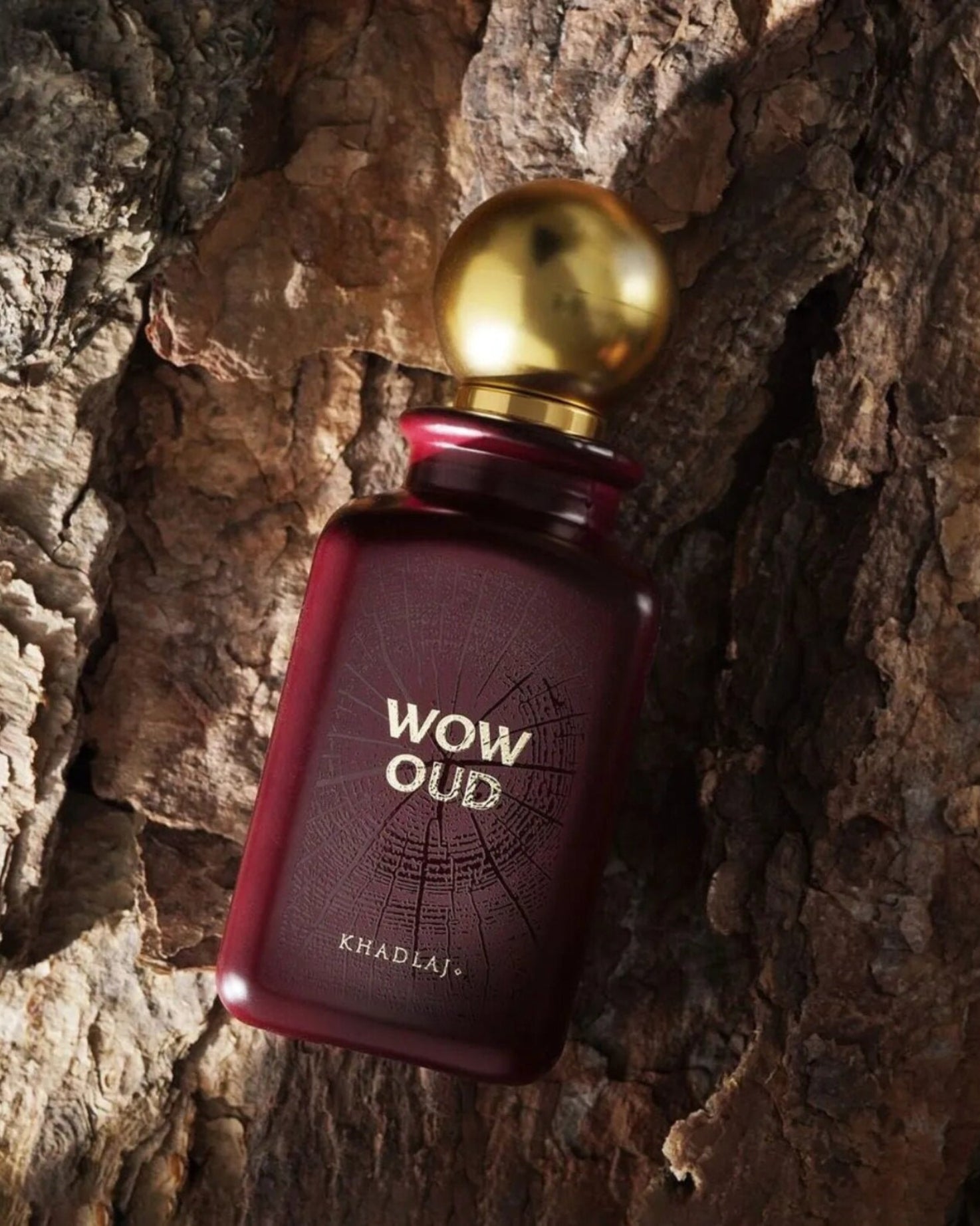 WOW OUD EDP - Image 4